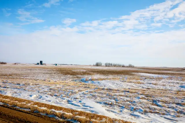 4 Qtrs of Grain Land | RM of Griffin # 66 | Near Halbrite, SK - Photo 6