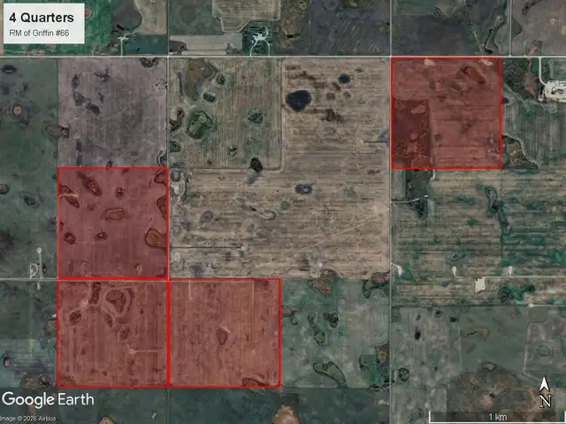 4 Qtrs of Grain Land | RM of Griffin # 66 | Near Halbrite, SK - Photo 8