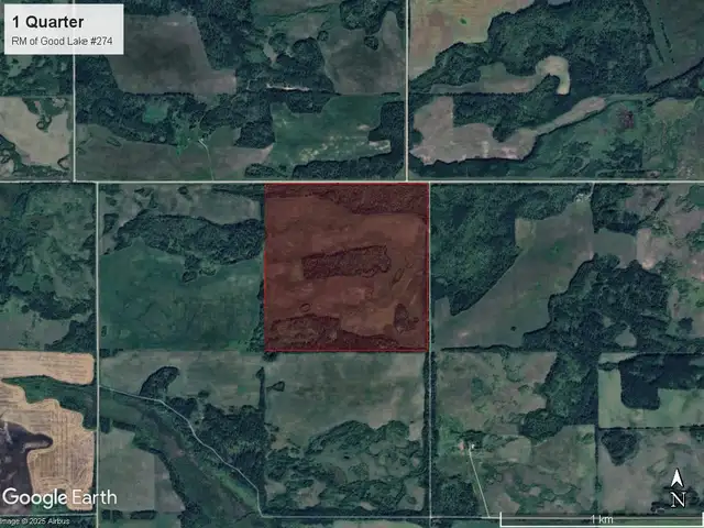 1 Quarter | RM of Good Lake # 274 | Near Buchanan, SK - Photo 3