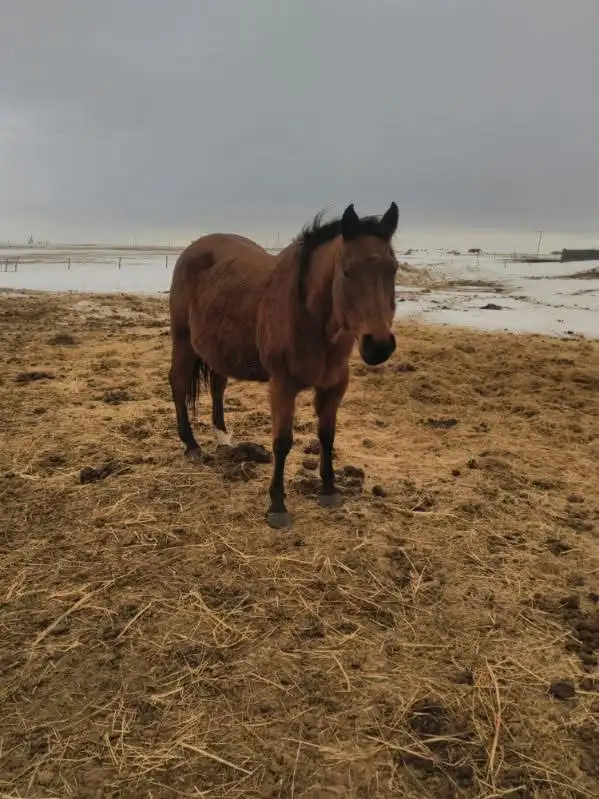 small spring downsize