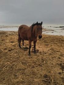 small spring downsize