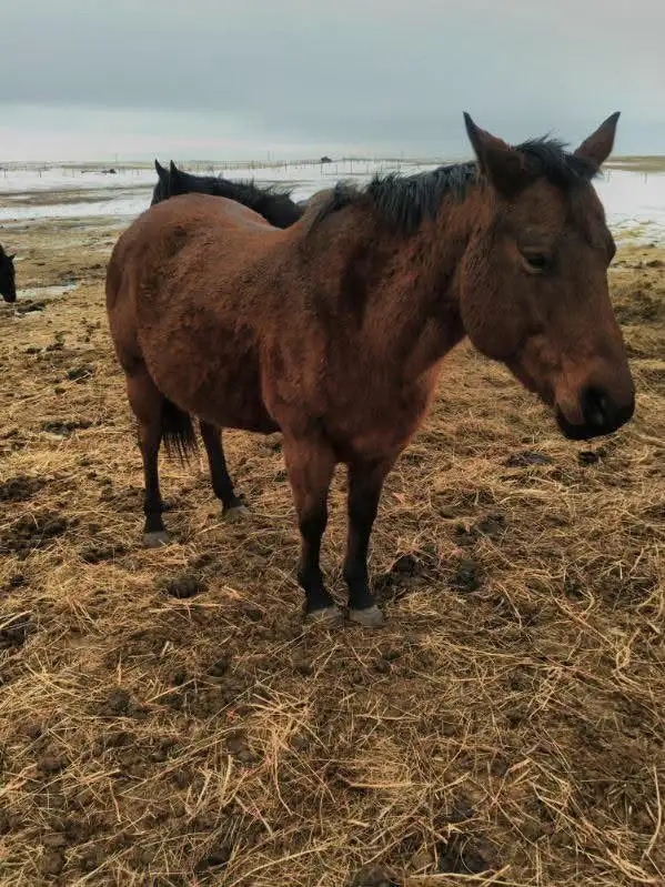 small spring downsize - Photo 2