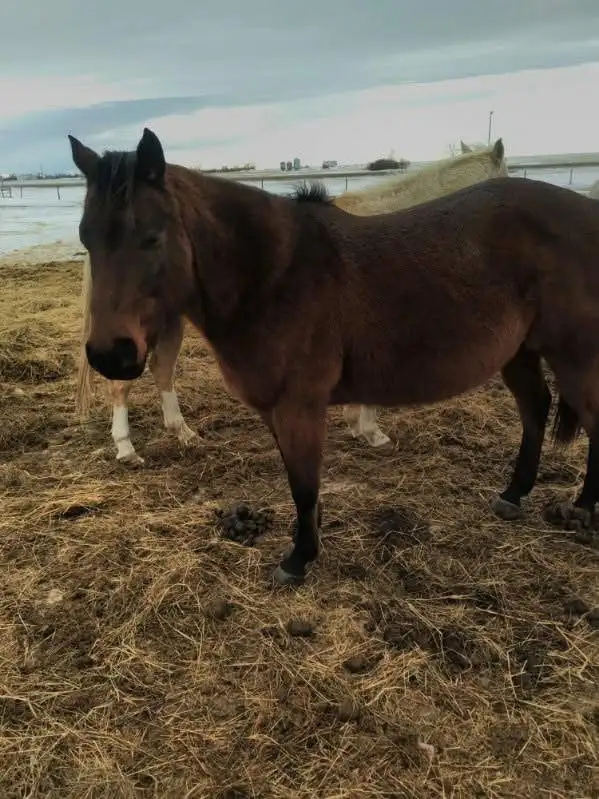 small spring downsize - Photo 3