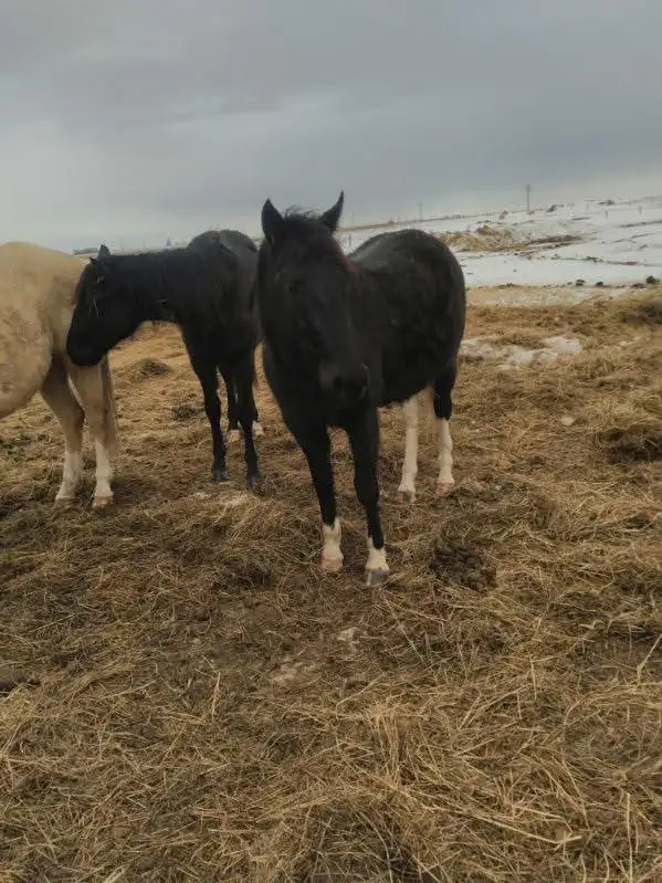 small spring downsize - Photo 4