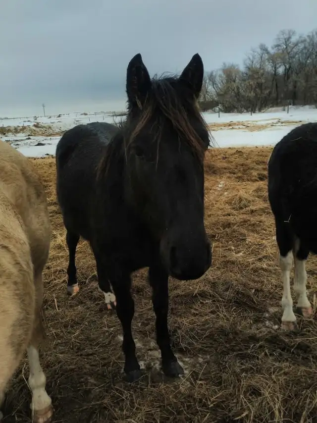 small spring downsize - Photo 5