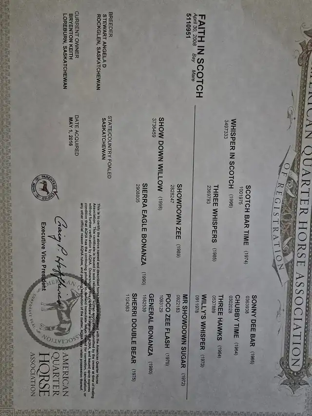 small spring downsize - Photo 6