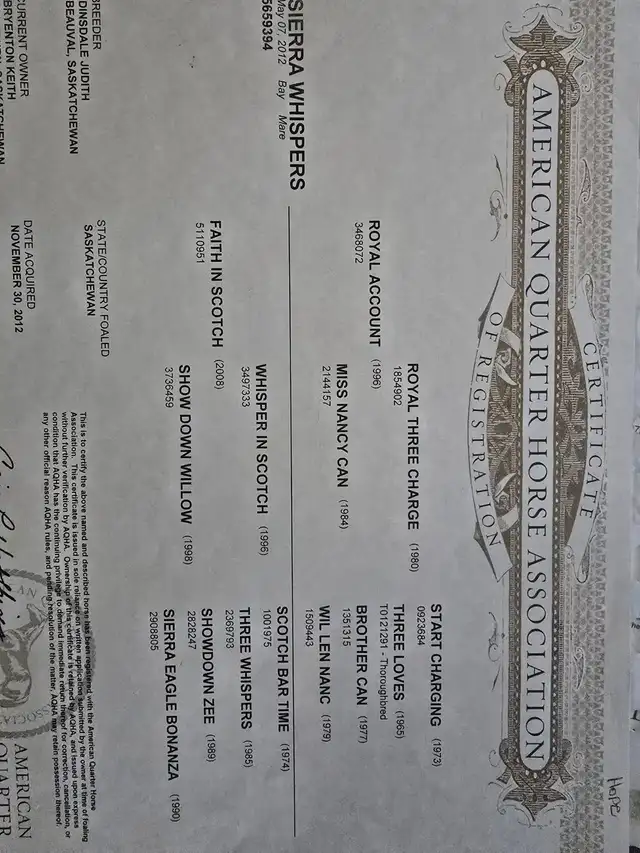 small spring downsize - Photo 7