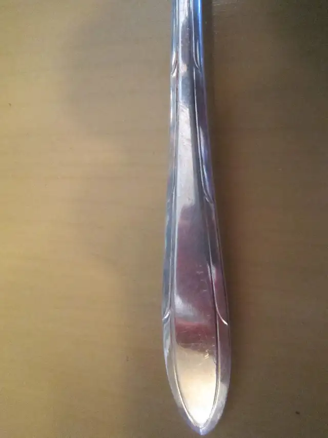 REVERIE silverware set for 10