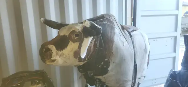 Mechanical bull
