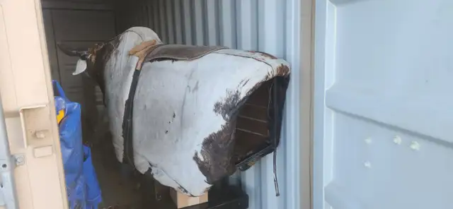 Mechanical bull - Photo 2