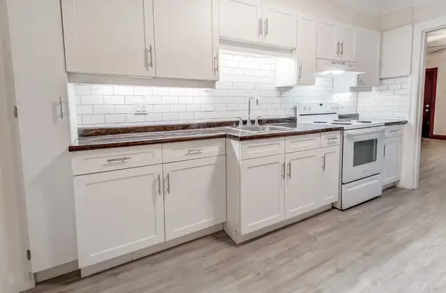 AVAILABLE ONE BEDROOM - $1,500 / Month - Photo 3