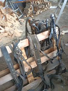 Good draft hores harness for sale