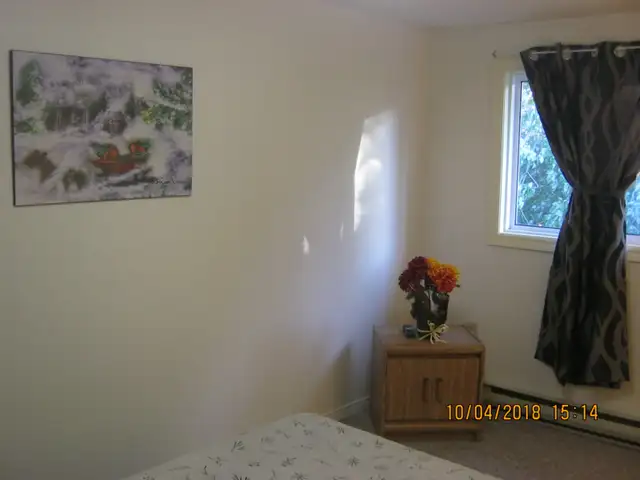 ROOM IN A PEACFUL HOME/APRIL 1ST OR MAY 1ST - Photo 3