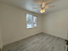 4 Bed Home for Rent near U of S - Photo 7