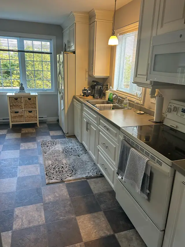 1 Bedroom Above Ground Apartment in East End St. John's! - Photo 6