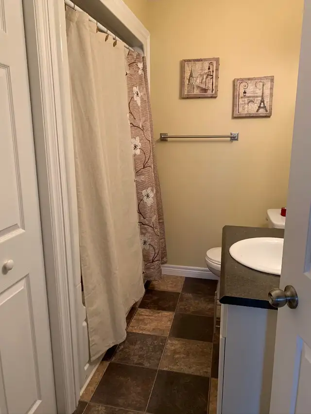 1 Bedroom Above Ground Apartment in East End St. John's! - Photo 13