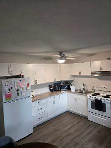 ✨ COZY • QUIET • PET-FRIENDLY ✨ - Photo 2