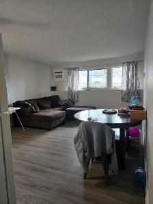 ✨ COZY • QUIET • PET-FRIENDLY ✨ - Photo 3