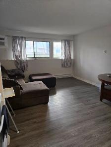 ✨ COZY • QUIET • PET-FRIENDLY ✨ - Photo 4