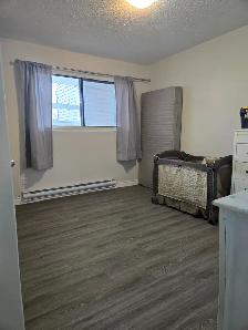 ✨ COZY • QUIET • PET-FRIENDLY ✨ - Photo 8