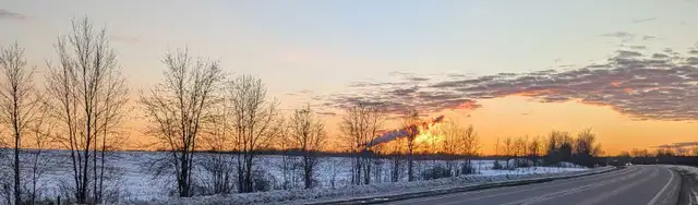 looking for a room or house