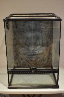 Exo Terra 18 x 18 x 24 Enclosure