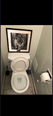 Studio Basement For Rent All Utilities Included - Photo 4