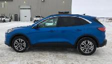 2021 Ford Escape SEL - Photo 5