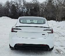 2025 TESLA MODEL 3 LONGE RANGE ALL WHEEL DRIVE WHITE ON WHITE - Photo 3