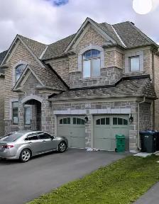 BRAMPTON- 2 Bedroom Basement Apartment for Rent