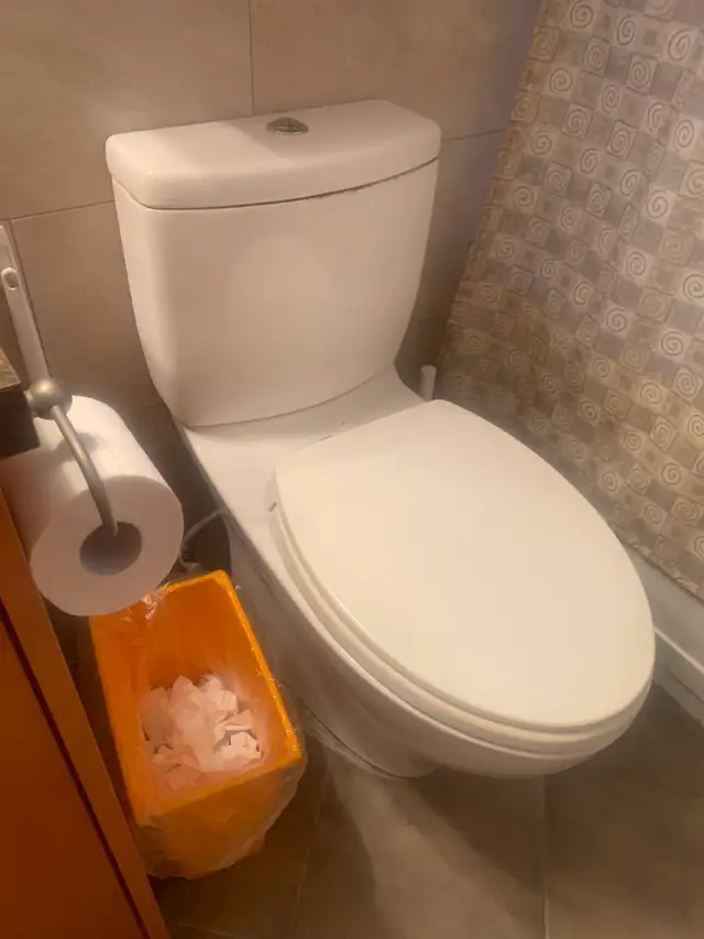 Toto dual flush toilet