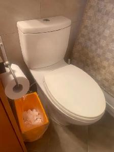 Toto dual flush toilet