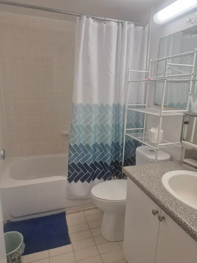 LARGE ROOM FOR RENT WITH PRIVATE BALCONY. MUST SEE! $975.00 - Photo 3