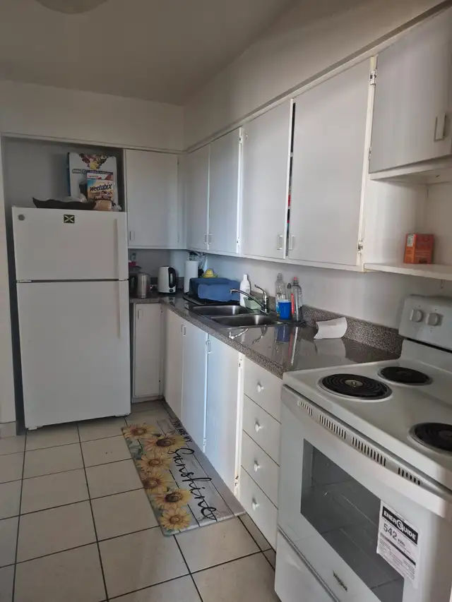 LARGE ROOM FOR RENT WITH PRIVATE BALCONY. MUST SEE! $975.00 - Photo 4