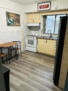 Modern 1-Bedroom Apartment with  Furnishings - Upper James