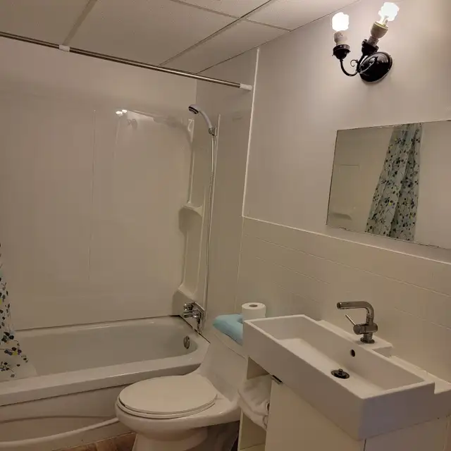 Furnished Large bachelor-All Utilities are included-Pet friendly - Photo 6