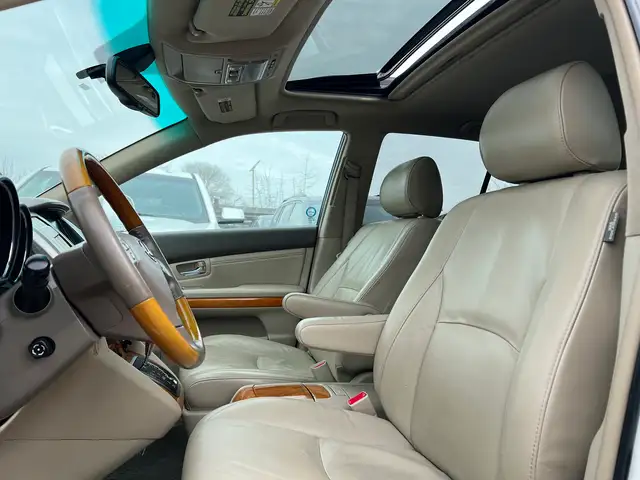 2009 Lexus RX 350 Premium Package w/Navigation - Photo 16