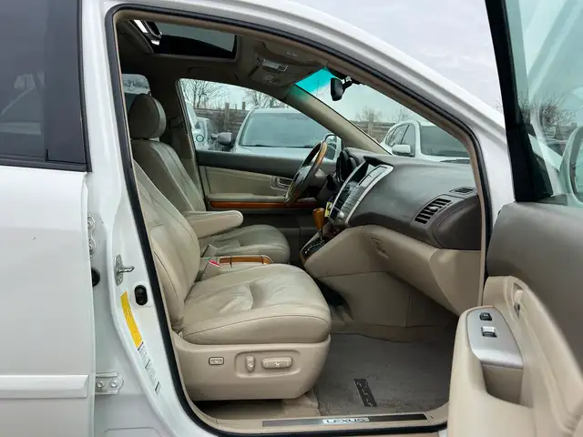 2009 Lexus RX 350 Premium Package w/Navigation - Photo 30