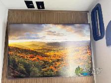 2025 Forest River RV Wildwood FSX 260RTK - Photo 22