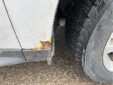 2014 Chevrolet Equinox - Photo 27