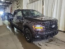 2024 Ford F-150 XLT 4WD 302A Black Edition 3.5L Eco Low Kms - Photo 3