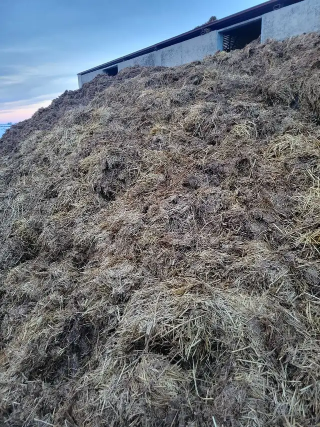 Calf Manure - Photo 2
