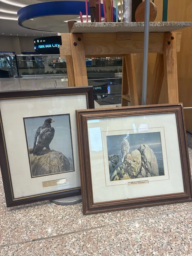 Toronto to Calgary driving opportunity wanted