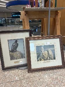 Toronto to Calgary driving opportunity wanted