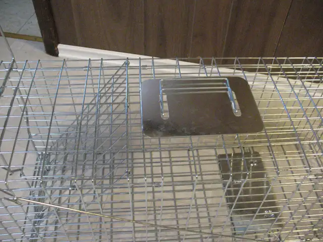 Live Animal Cage Trap, BRAND NEW - Photo 3