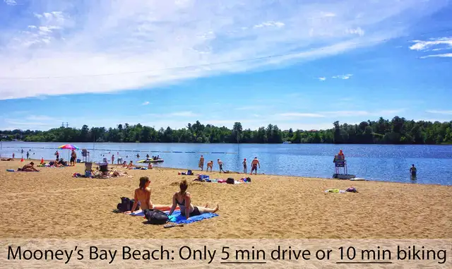 Private Suite with Private bath Utilities Included: 613-366-9195 - Photo 10