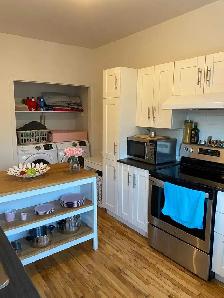 3 1/2 Rénover a louer / Renovated 3 1/2 for rent