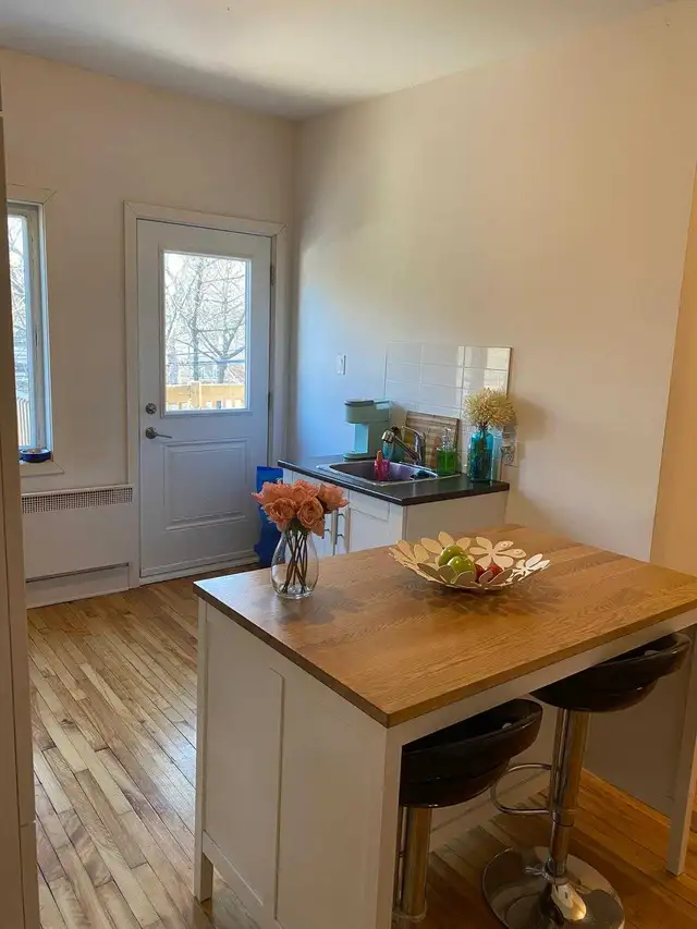 3 1/2 Rénover a louer / Renovated 3 1/2 for rent - Photo 3