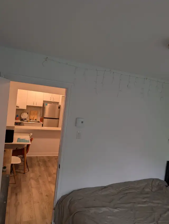 IMMEDIATELY AVAILABLE STUDIO NEAR METRO VENDOME - Photo 3