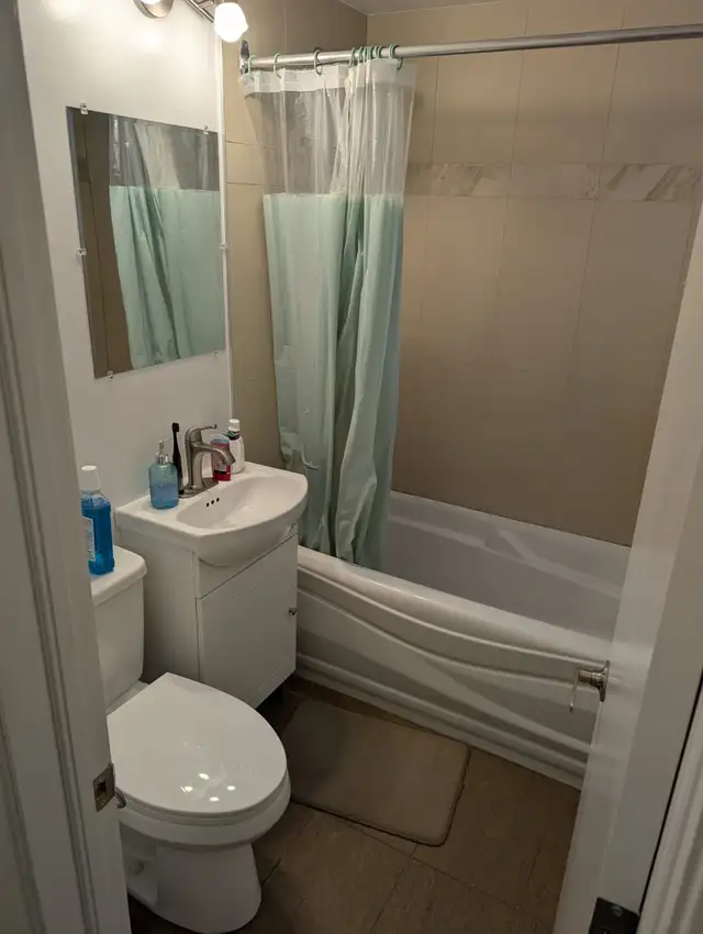 IMMEDIATELY AVAILABLE STUDIO NEAR METRO VENDOME - Photo 4